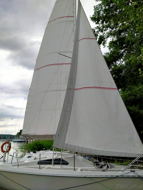 Laguna 26